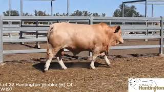 Lot 22 - HUNTINGTON WEBKE