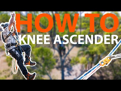 How to set up an SRT Knee Ascender for Tree Climbing