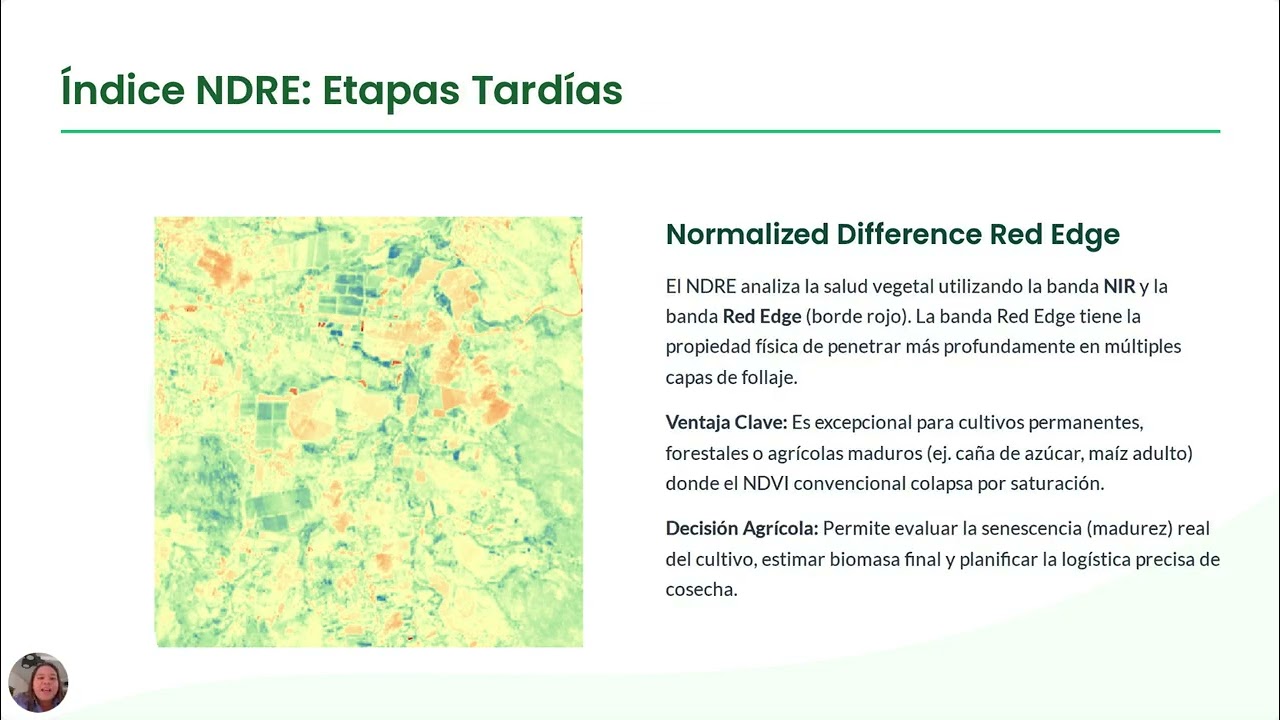 Pix4D en Agricultura de Precisión pdf