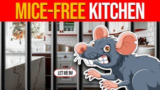 How to Keep MICE out of KITCHEN Drawers? (Best Methods)