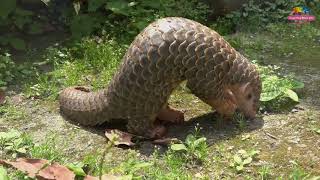 [問卦] 請問穿胖還好嗎????