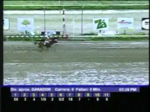 Resumen Sabado, 03 de Diciembre de 2011 - La Rinconada