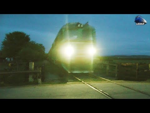 Fluieroasa 60-0897-3 Whistle Loko & Marfar CFR MARFA Freight Train în Dumbrava de Bihor & Tinca