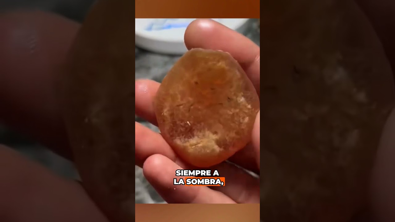 From Cartilage to Luxury: The Hidden Gem in a Fish 🐟💎