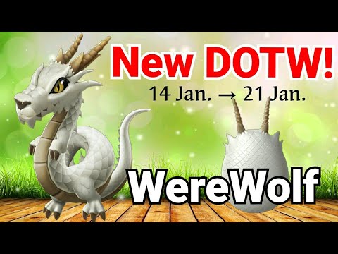 NEW DOTW | Werewolf Dragon | Dml