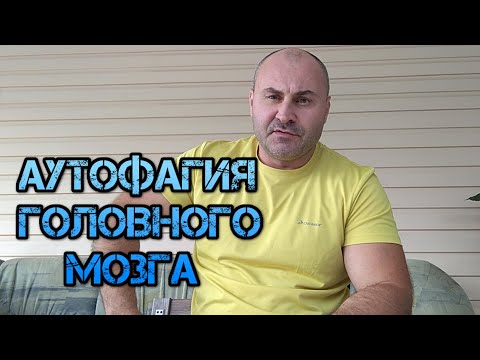 24 часа в сутки я свободен от еды. Аутофагия моего организма. Как перезагрузится.