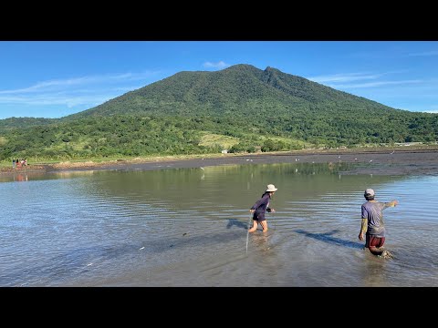 PAMUMUKOT OR NET FISHING SA PALAISDAAN (FISHPOND) HARVESTING TIME | ARAYAT PAMPANGA | BINOY TV