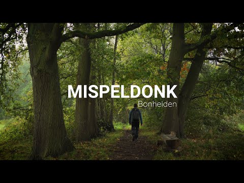 Landscape photography in Mispeldonk (Bonheiden, Belgium)