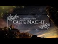 ich wünsche euch eine gute nacht