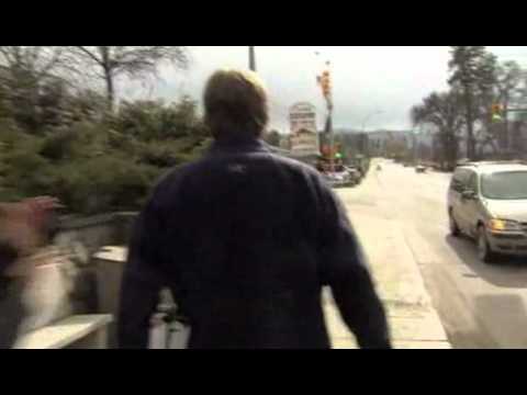 Reporter Walks Into Pole