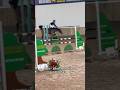 Jerry Not Jerrying 4 Days Before HOYS Jerrythepony Madoghillgoronwy
