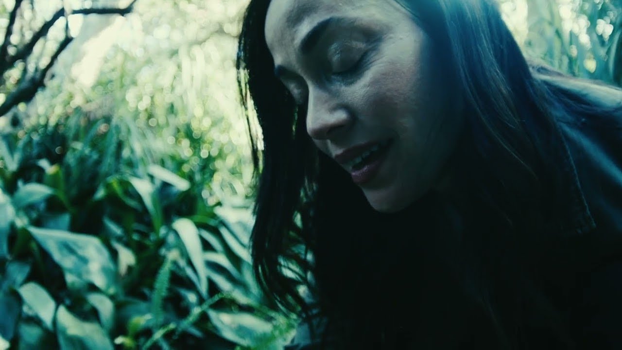 Stick To Your Guns - Keep Planting Flowers (OFFICIAL MUSIC VIDEO)