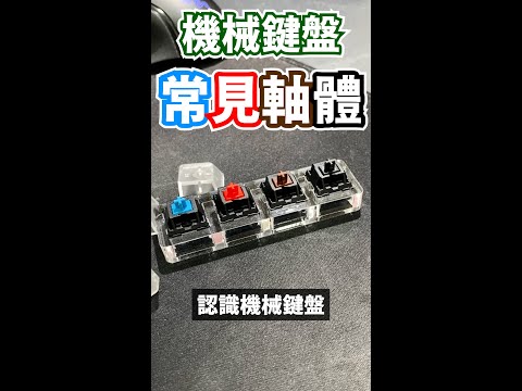 【Huan】 帶你認識機械鍵盤的四大軸體 #Shorts