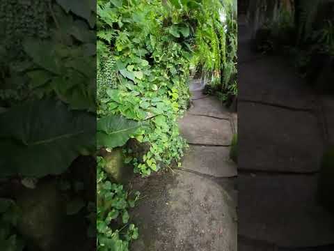 Muguet de Café & Art space. 1. Main Entrance.