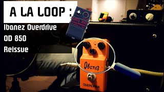 Video thumbnail for Ibanez OD 850 (Japan Reissue) Overdrive/Fuzz - DEMO by Drop D