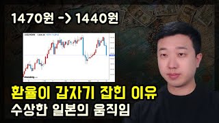 환율이 갑자기 하락한 이유와 일본의 엔캐리 움직임