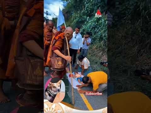 Namo BuddhayaNamo DhammayaNamo SanghayaWalk for Peace - We walk to bless all beings, so that peace