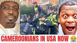 CAMEROONIANS IN USA & SWITZERLAND 🇨🇭 MESSAGE TO PAUL BIYA #paulbiya #cameroonnews #issatchiroma