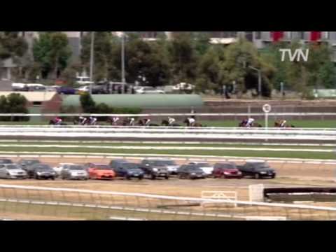 2008 LKS Mackinnon Stakes - Theseo