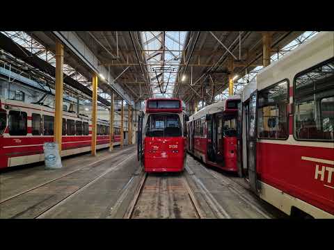 HTM tramlijn 12 Remise Lijsterbes - Duindorp - Station Den Haag Hollands Spoor | BN GTL8 3136 | 2022