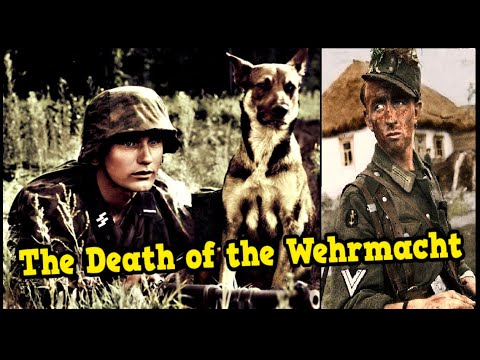 The Last Battles of the German Army on the Eastern Front 1945 | Complete Series
