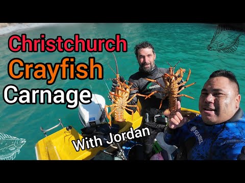 Christchurch Crayfish Carnage with Jordan  [Catch and Cook]