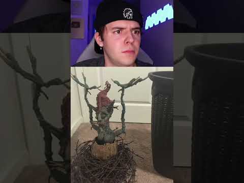 Creepy things found in abandon houses… 😳🏡