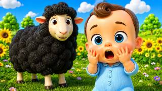 It's Baa Baa Black Sheep! 🐑 + MORE Dudu dada Nursery Rhymes & Kids Songs