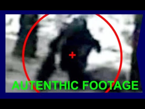 Gnomo armato di ascia video originale