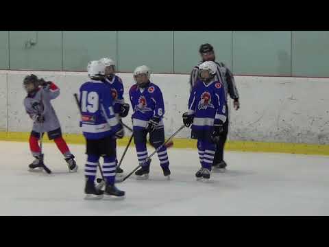 2019.03.23 MU JCK (2) HC Pilsen Wolves - HC Tabor III