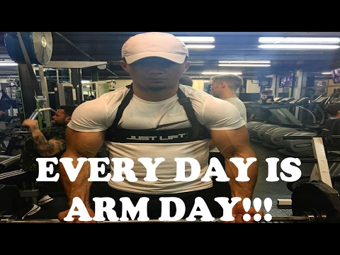 QUICK ARM ROUTINE | EVERY DAY = ARM DAY
