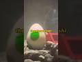 Did Nintendo MESS UP The Yoshi Reveal Mariomovie Easteregg Yoshi Supermario Retrogaming