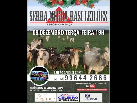 LEILÃO  SERRA NEGRA RASI LEILÕES - PIRACANJUBA - GO | 09 DE DEZEMBRO DE 2025