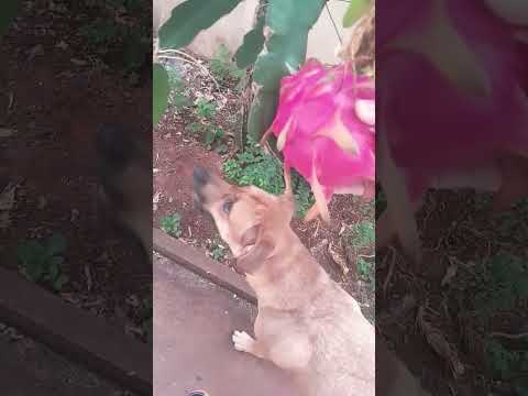 9 de janeiro de 2026