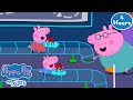 NEW Peppa Pig Tales LIVE 24 7 Kids Cartoon FULL EPISODES Livestream