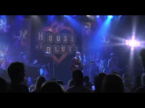 Aimee Mann Shed a Little Light