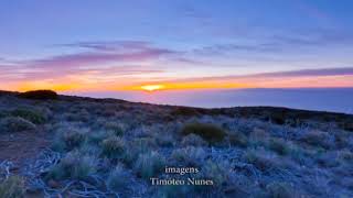 [10º dia – A caminho do Natal com o Papa Francisco]