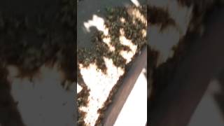 loner gets beaten senseless with soap