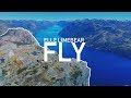 Fly