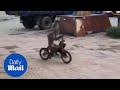 Hilarious moment monkey steals bike before riding it in front of crowd