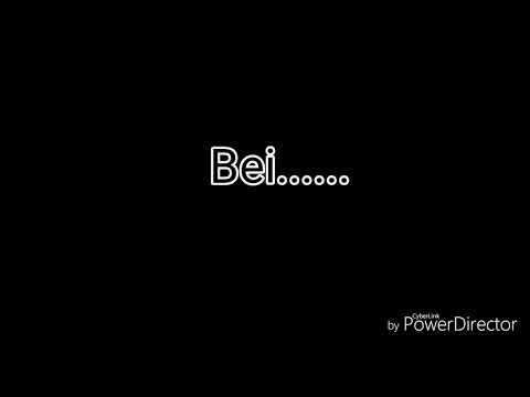 Funde aus 1/2 Jahren Sondeln