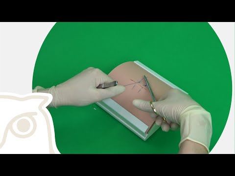 CSL: Einzelhefte - Vertikales Matratzenheft (Donati-Heft)