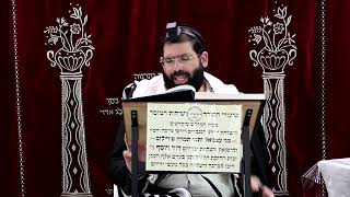 זבחים דף מ"ו ע''ב ¤ הרב נתנאל אברז'ל ¤ בית הכנסת "בית מרדכי" (מוסדות תורת דוד) - התמונה מוצגת ישירות מתוך אתר האינטרנט יוטיוב. זכויות היוצרים בתמונה שייכות ליוצרה. קישור קרדיט למקור התוכן נמצא בתוך דף הסרטון