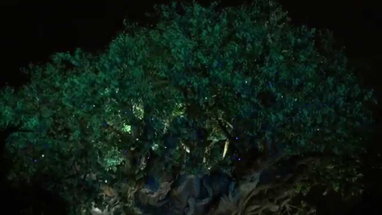 Harambe Nights Street Party walkthrough