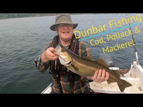 Fishing Dunbar - Cod, Pollack and Mackerel in Early Summer