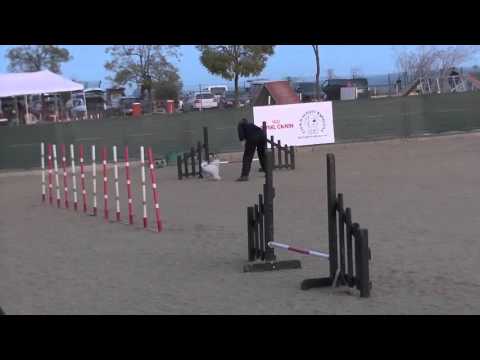 Anna Mel Jumping G2 E