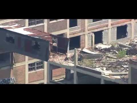 Detroit PD respond to reports of Tiger loose at Packard plant