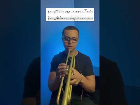 Moana - De nada - Saulo Vasconcellos #moana #mauihawaii #trumpet #trompete #metaleira