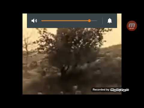 Kova vurmaktan ciğerim soldu şarkı #1