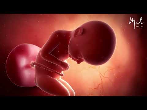 32 Weeks of #Pregnancy | #ThirdTrimester | Fetal Stage | #32WeeksPregnant | #Fetus